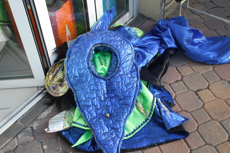 carnevale_tremonese_2013 (005).jpg